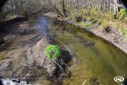 Property in Wright County, Iowa