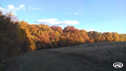 Property in Marion County, Iowa