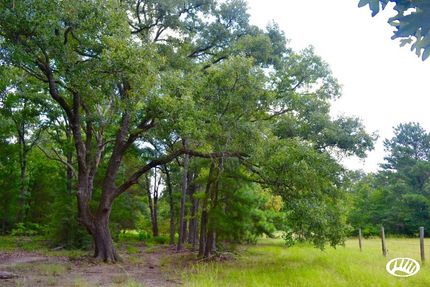 Property in Freestone County, Texas