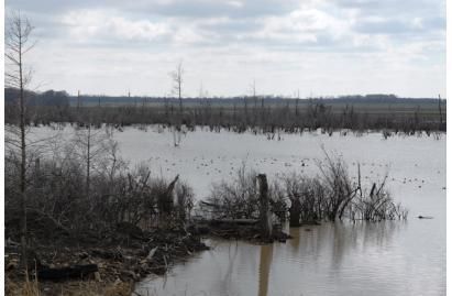 Farm Property in Phillips County, Arkansas