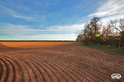Property in Jones County, Texas