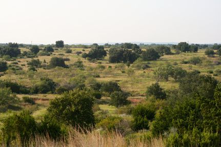 Property in Coke County, Texas