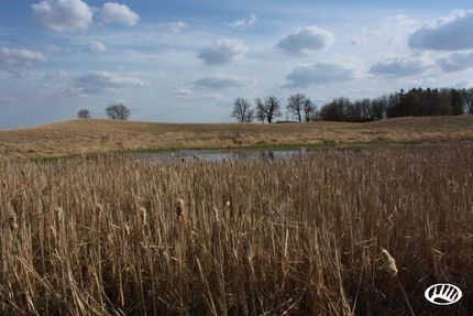 Ranch Property in Freeborn County, Minnesota