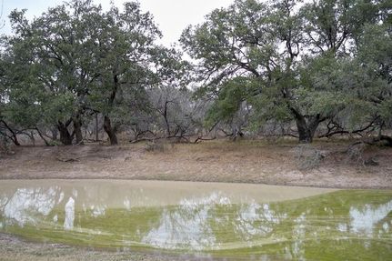 Farm Property in Medina County, Texas