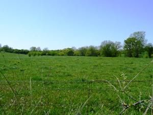 Farm Property in Linn County, Kansas