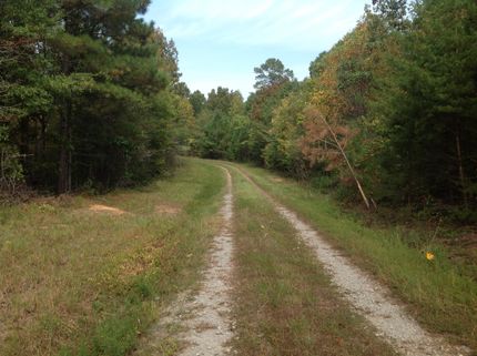 Ranch Property in Tuscaloosa County, Alabama