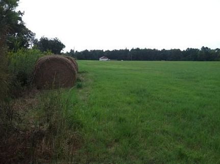 Property in Geneva County, Alabama