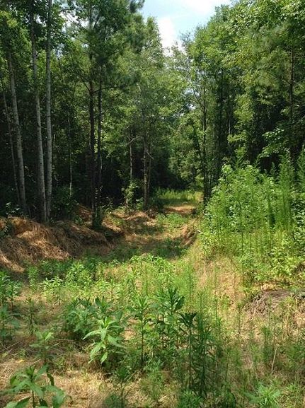 Ranch Property in Autauga County, Alabama