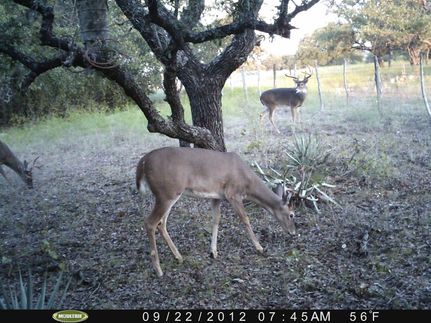 Farm Property in Comanche County, Texas