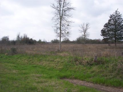 Farm Property in Waller County, Texas