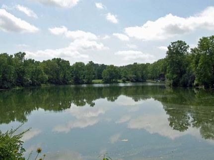 Property in Vermilion County, Illinois
