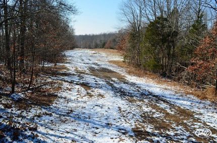 Property in Trigg County, Kentucky