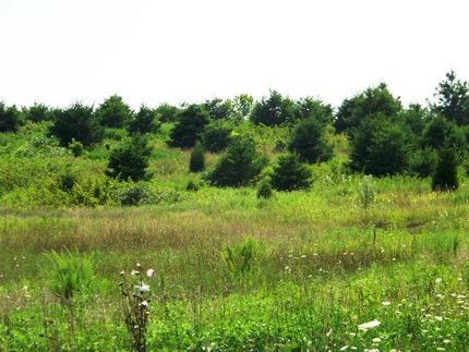 Farm Property in Christian County, Kentucky