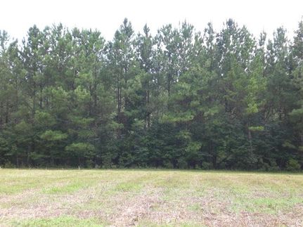Property in Covington County, Alabama