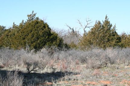 Farm Property in Woodward County, Oklahoma