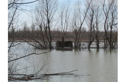 Ranch Property in Lake County, Tennessee