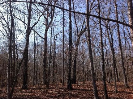 Waterfront Property in Chambers County, Alabama