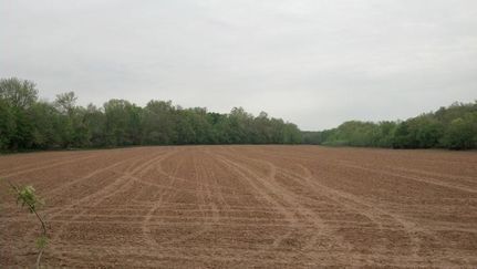 Waterfront Property in Goochland County, Virginia