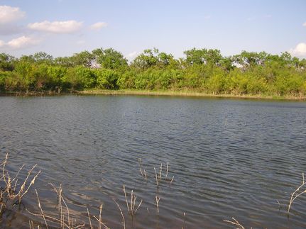Farm Property in Zavala County, Texas