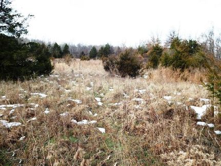 Ranch Property in Williamson County, Illinois