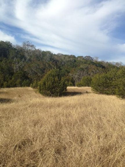 Farm Property in Kerr County, Texas