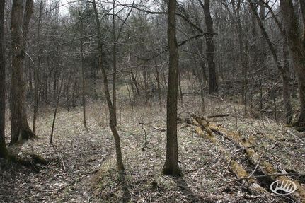 Property in Harrison County, Kentucky
