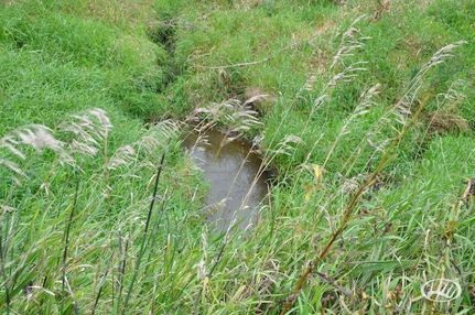Farm Property in Dixon County, Nebraska