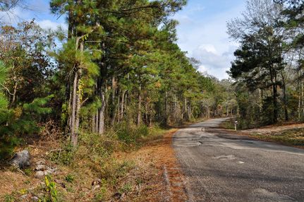 Ranch Property in San Jacinto County, Texas