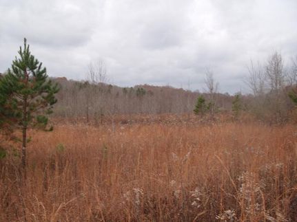Ranch Property in Calhoun County, Mississippi
