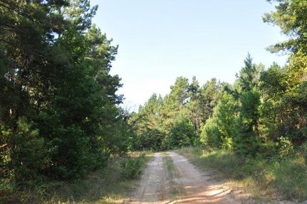 Farm Property in San Jacinto County, Texas