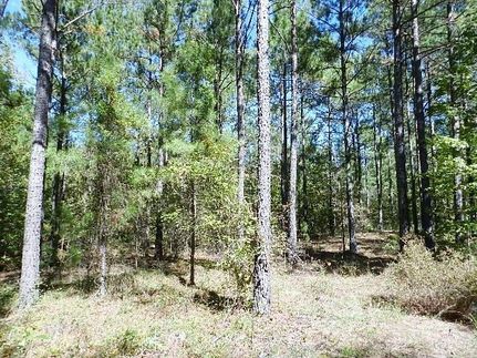 Property in Laurens County, Georgia