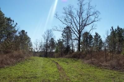 Farm Property in Coosa County, Alabama