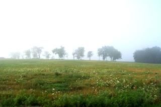 Ranch Property in Cass County, Missouri