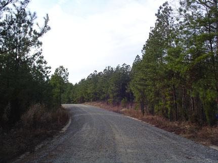 Ranch Property in Fairfield County, South Carolina
