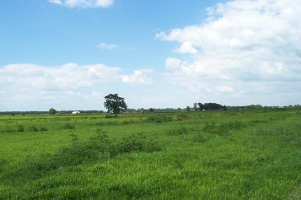 Farm Property in Austin County, Texas