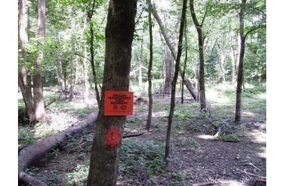 Property in White County, Arkansas