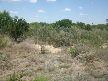 Ranch Property in Duval County, Texas