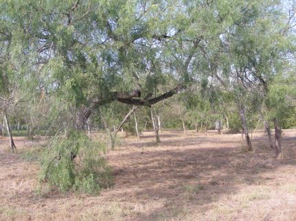 Ranch Property in Nueces County, Texas