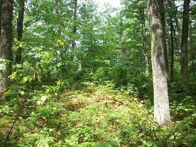 Ranch Property in Juneau County, Wisconsin