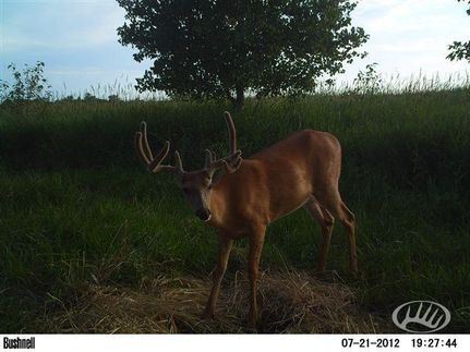 Ranch Property in Otter Tail County, Minnesota