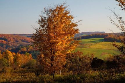 Ranch Property in Delaware County, New York