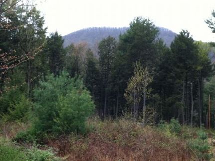 Ranch Property in Lycoming County, Pennsylvania