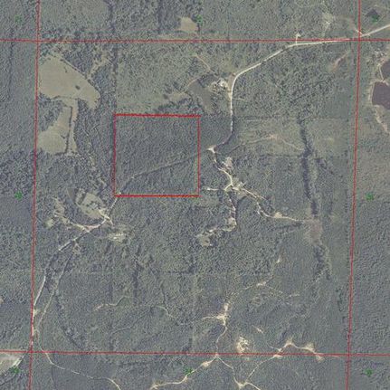 Ranch Property in Attala County, Mississippi