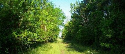 Farm Property in Liberty County, Texas