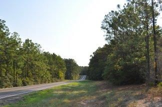 Property in Polk County, Texas