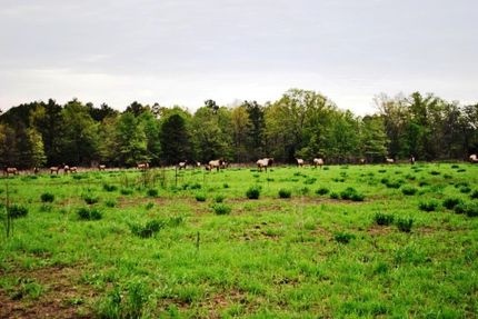 Farm Property in Adair County, Oklahoma