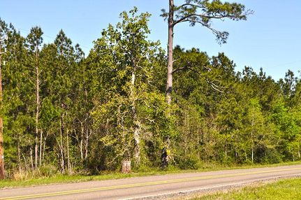 Farm Property in Liberty County, Texas