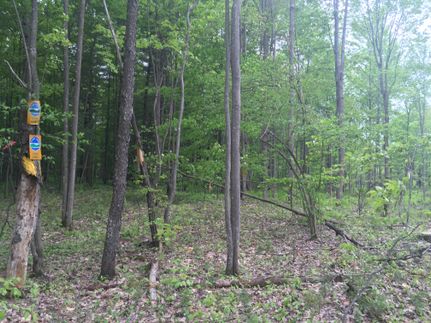 Recreational Property in Saint Lawrence County, New York
