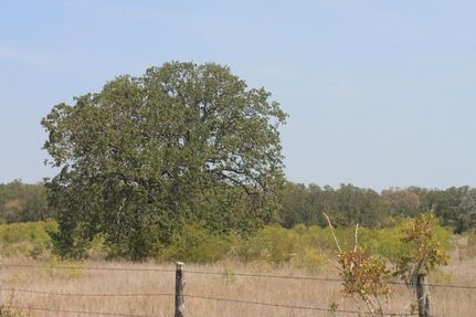Farm Property in Madison County, Texas