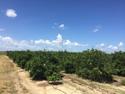 Recreational Property in Polk County, Florida